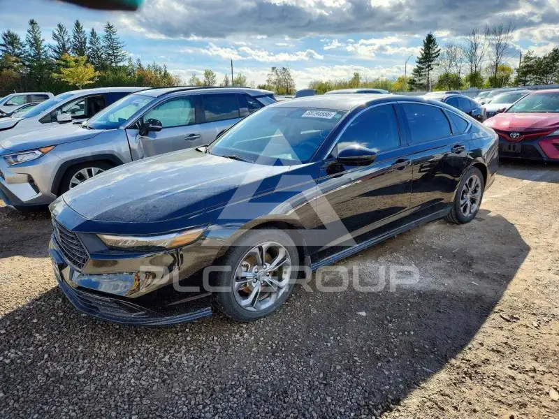 2024 Honda Accord photo