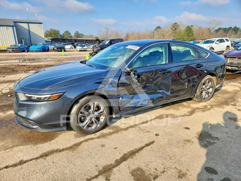 2024 Honda Accord photo
