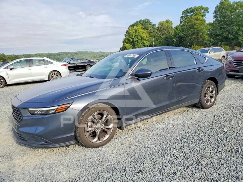 2024 Honda Accord photo