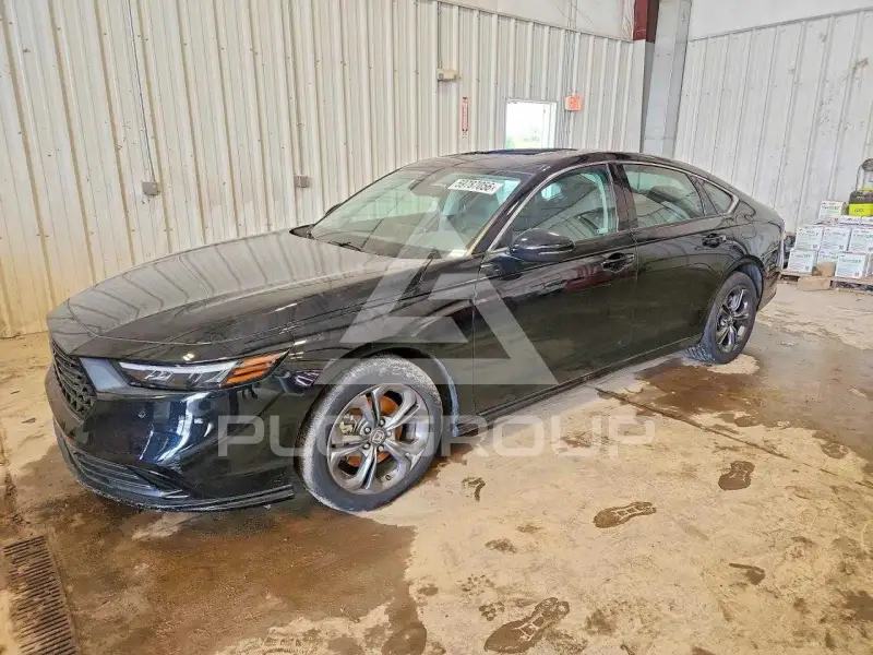 2024 Honda Accord photo