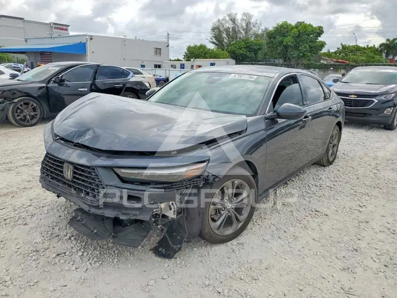 2024 Honda Accord photo