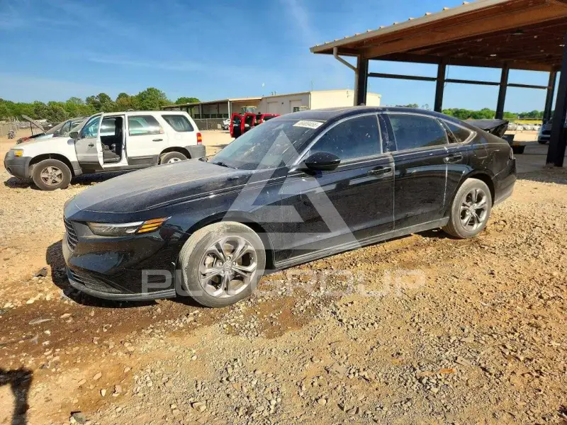2024 Honda Accord photo