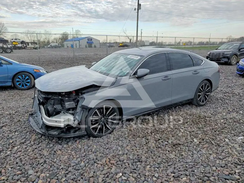 2024 Honda Accord photo
