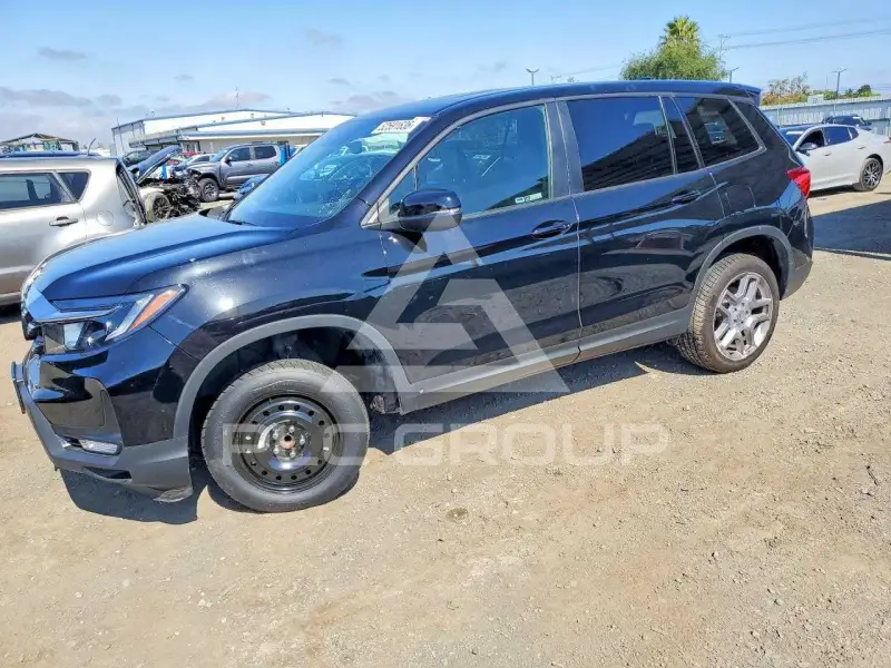 2024 Honda PASSPORT photo