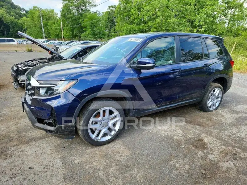 2024 Honda PASSPORT photo