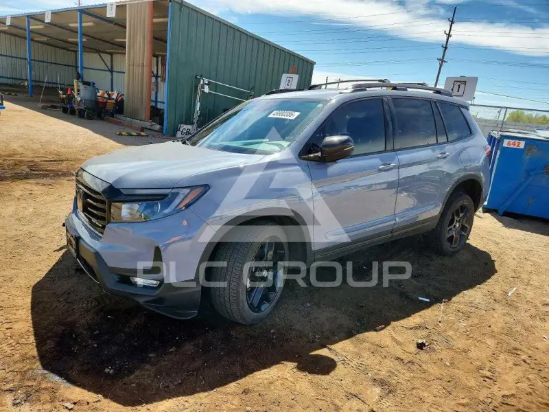 2024 Honda PASSPORT photo
