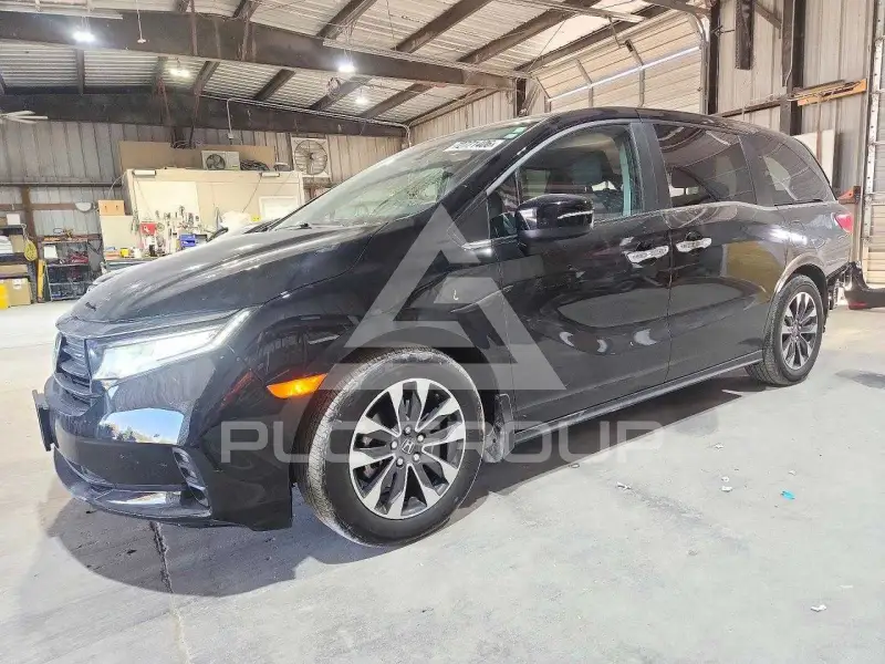 2024 Honda ODYSSEY фото