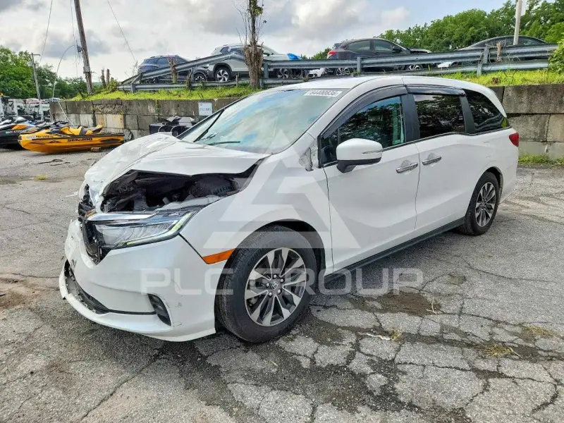 2024 Honda ODYSSEY photo