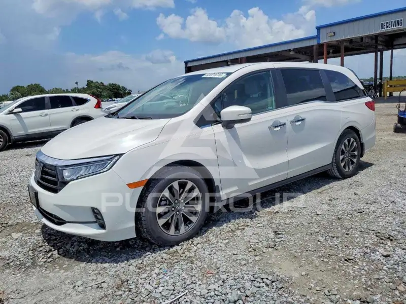 2024 Honda ODYSSEY photo