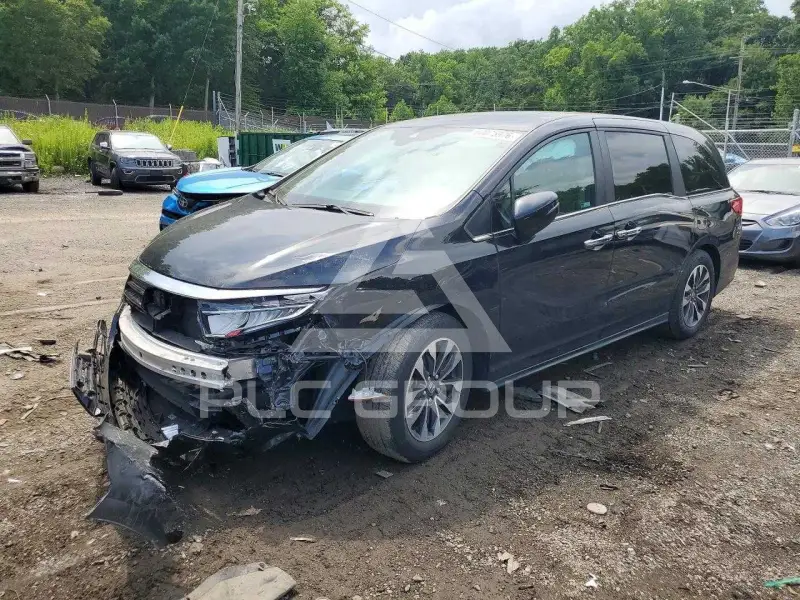 2024 Honda ODYSSEY photo