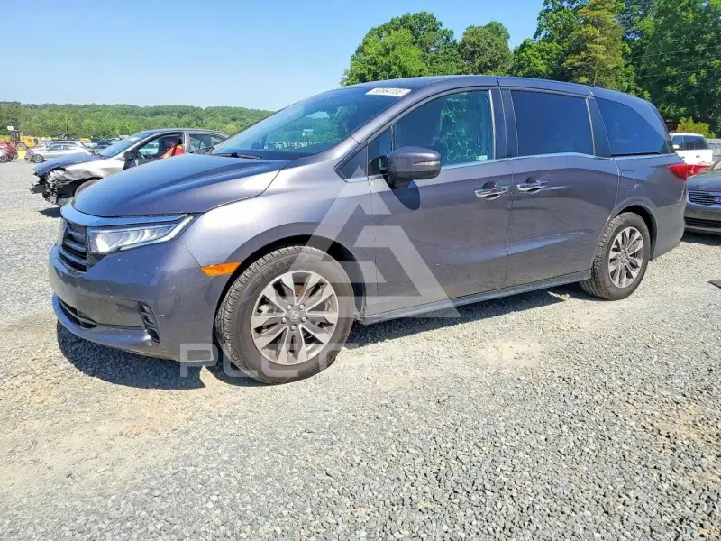 2024 Honda ODYSSEY фото