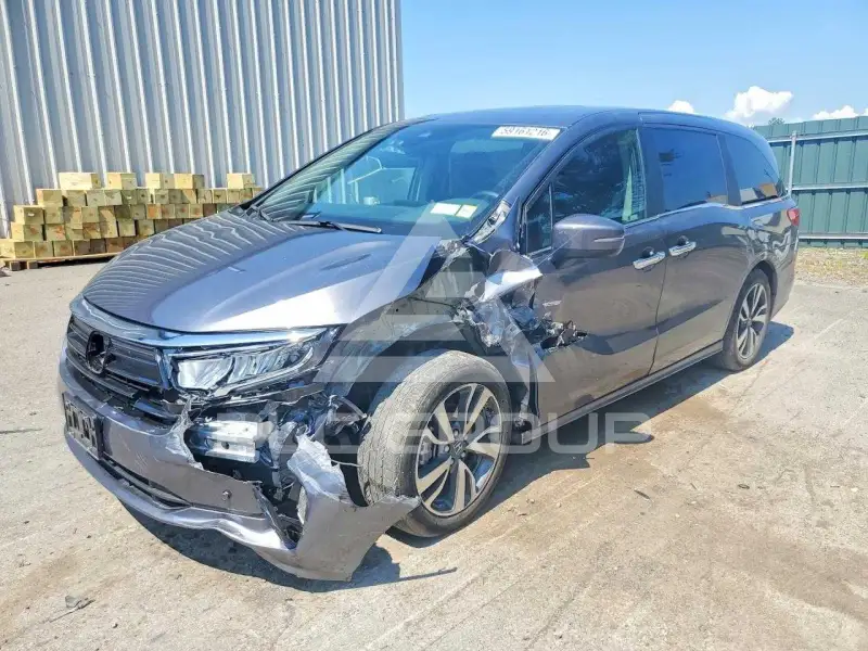 2024 Honda ODYSSEY фото
