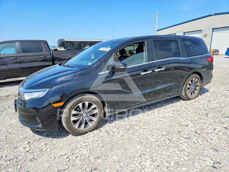 2024 Honda ODYSSEY photo