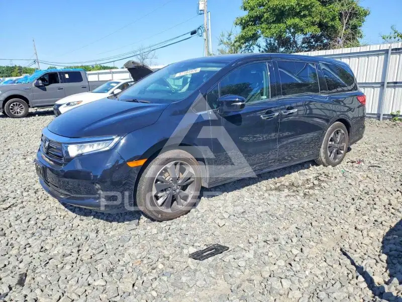 2024 Honda ODYSSEY фото