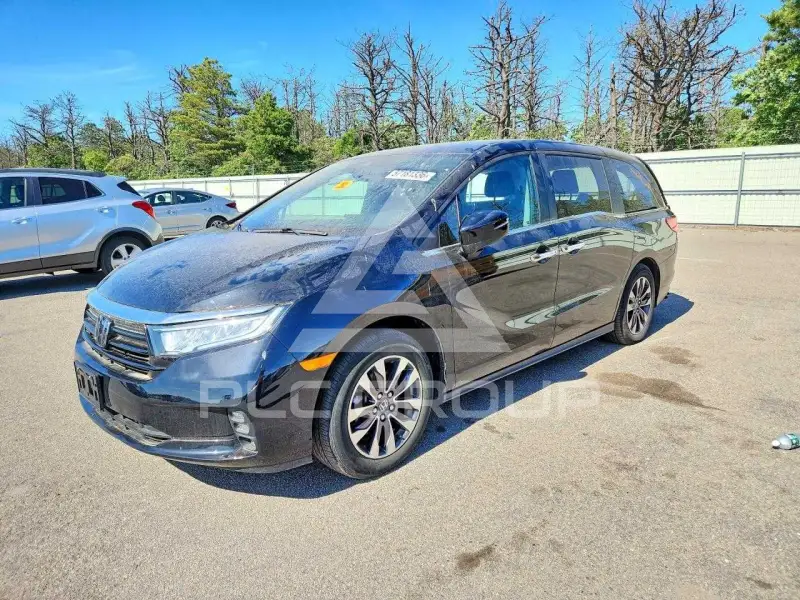 2024 Honda ODYSSEY фото