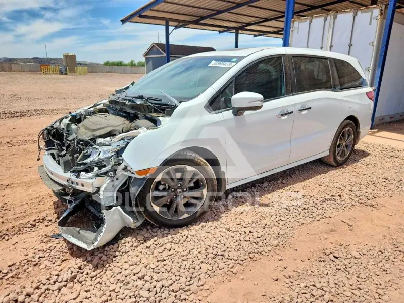 2024 Honda ODYSSEY photo