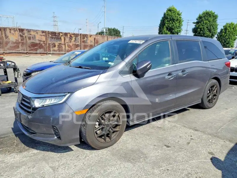 2024 Honda ODYSSEY photo