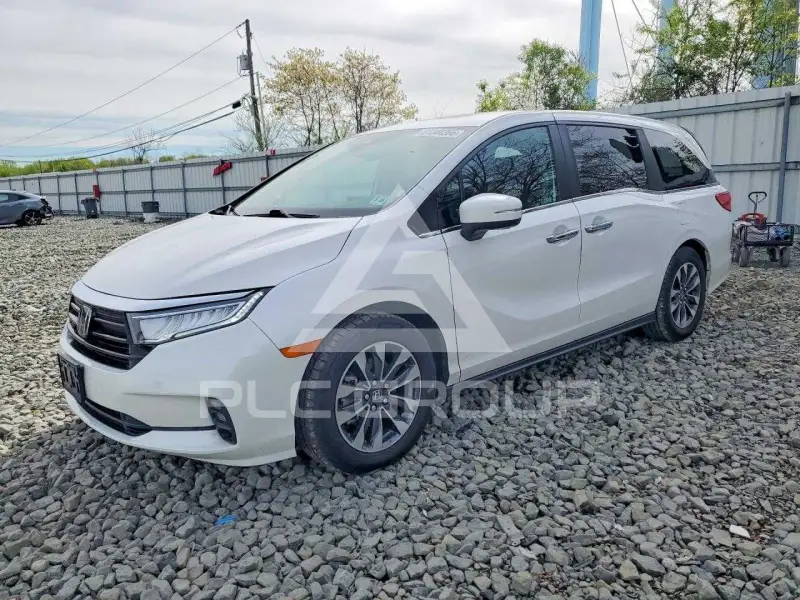2024 Honda ODYSSEY фото