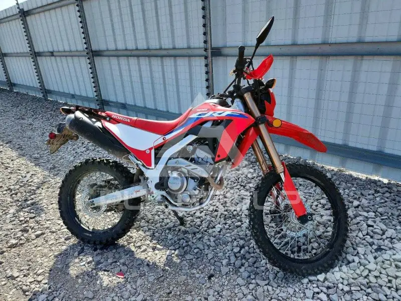 2024 Honda CRF photo