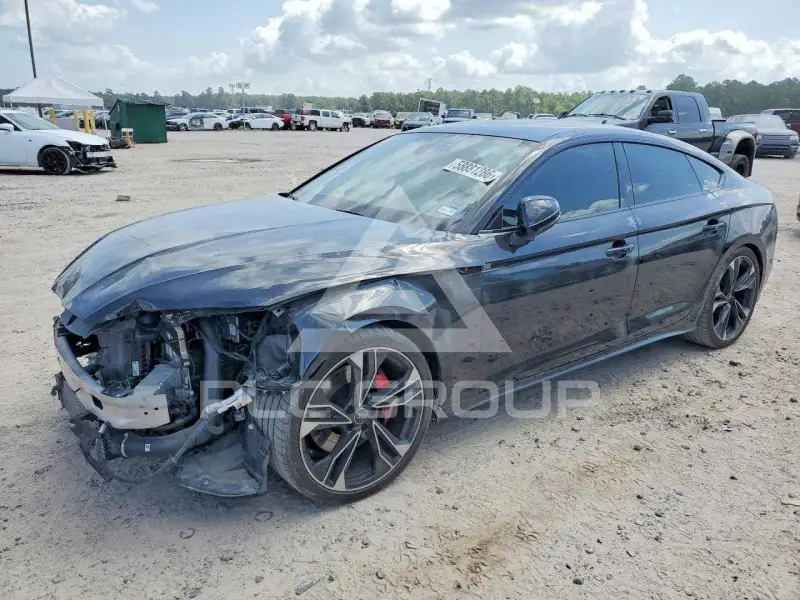 2024 Audi S5 photo