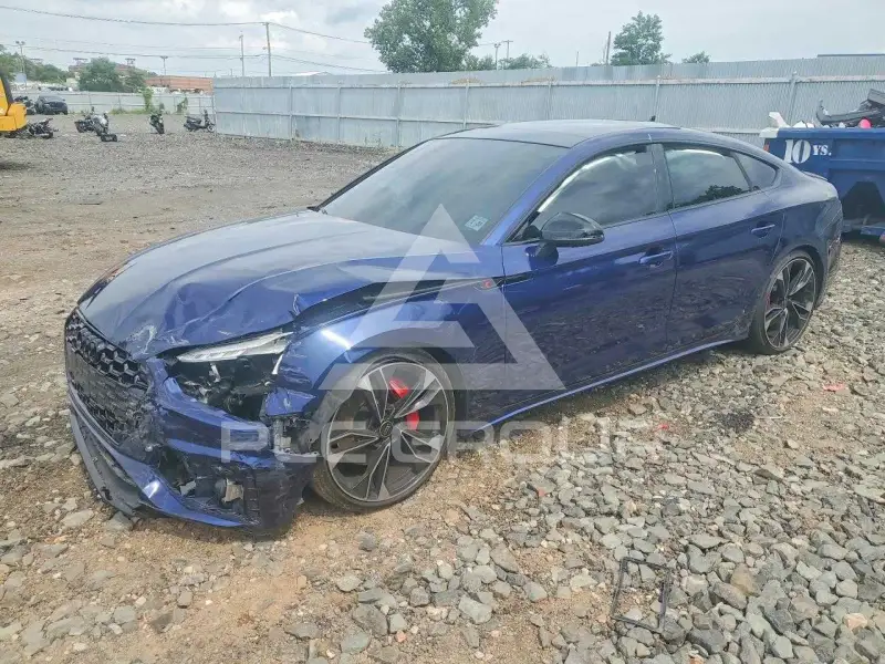 2024 Audi S5 фото