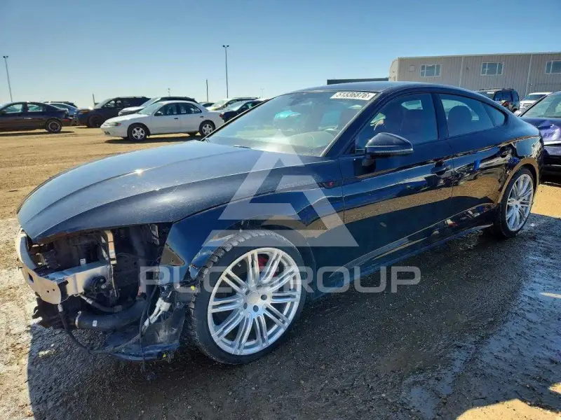 2024 Audi S5 фото