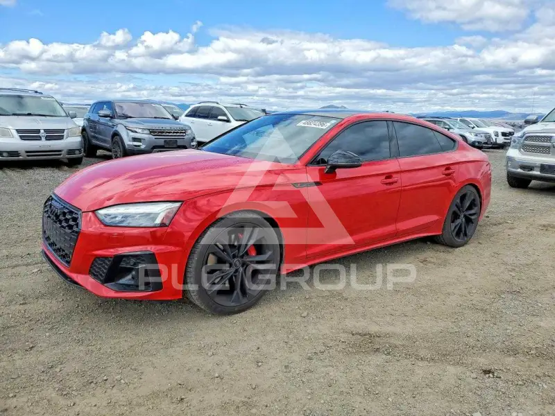 2024 Audi S5 фото