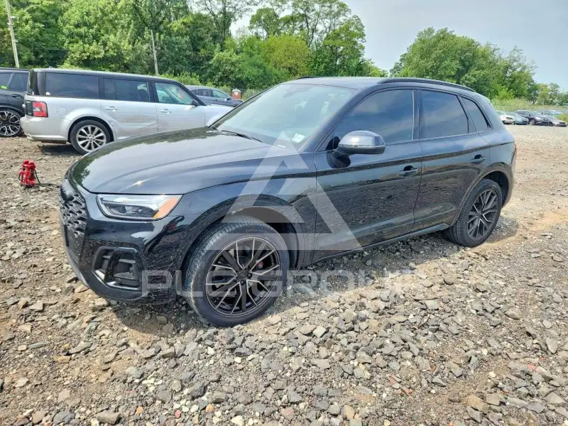 2024 Audi SQ5 фото