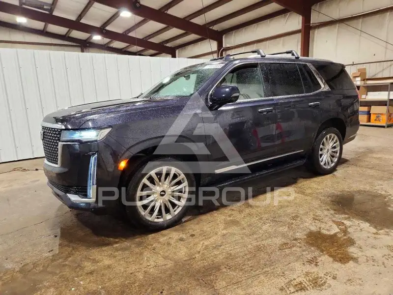 2024 Cadillac ESCALADE фото