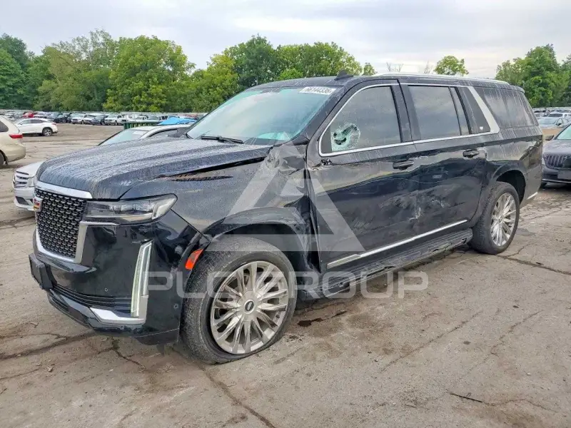 2024 Cadillac ESCALADE photo