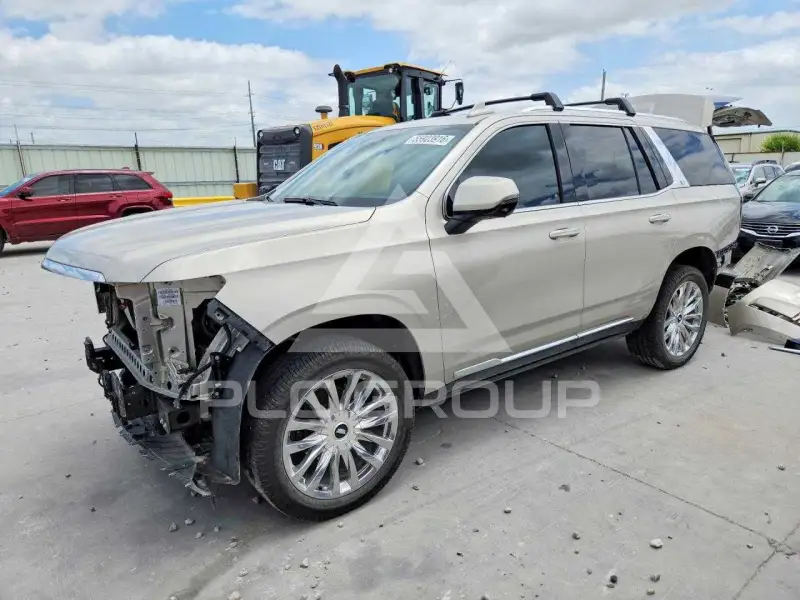 2024 Cadillac ESCALADE photo