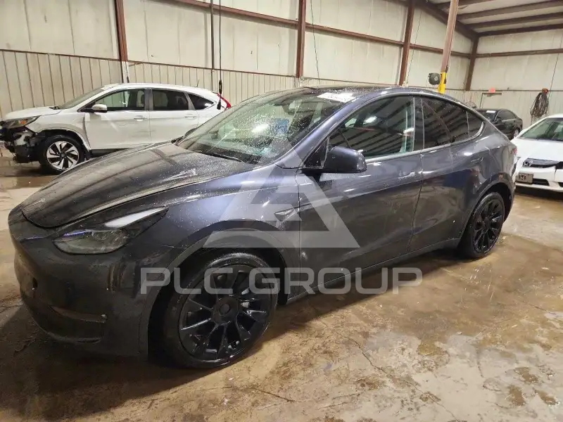 2024 Tesla Model Y photo