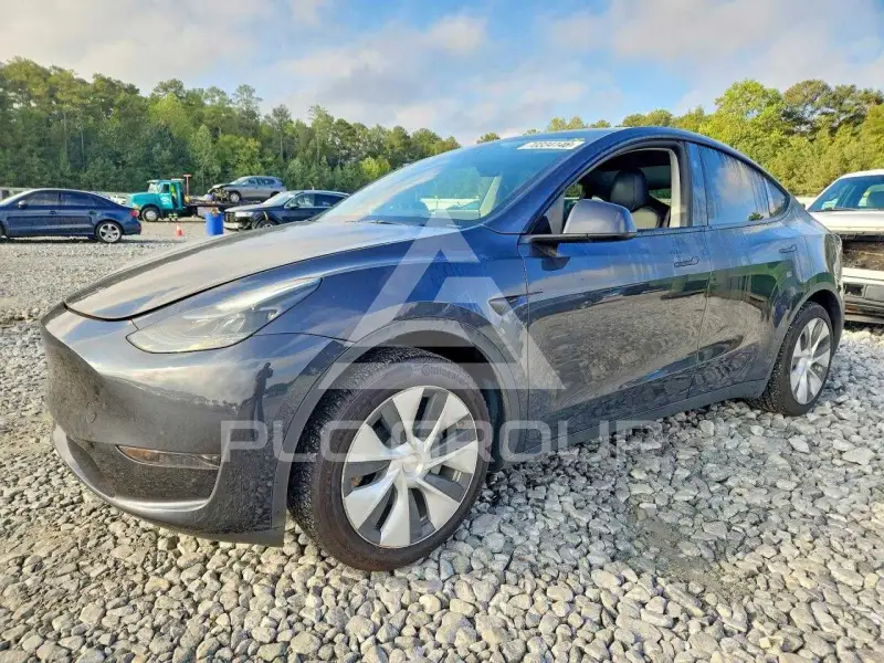 2024 Tesla Model Y фото