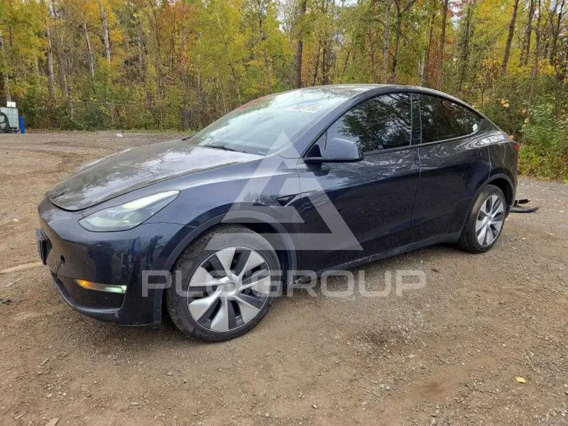 2024 Tesla Model Y фото