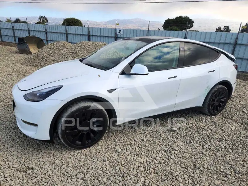 2024 Tesla Model Y photo