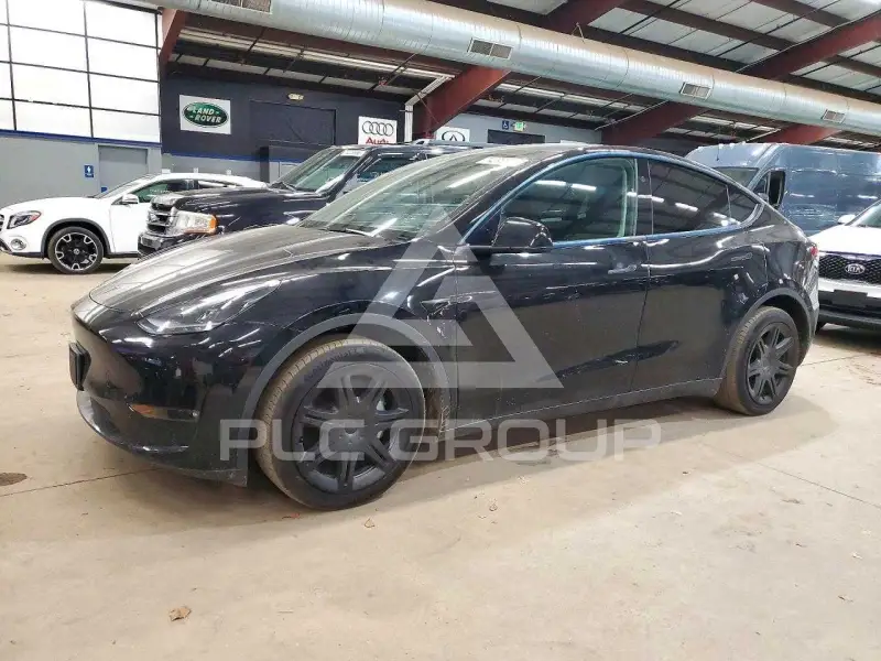 2024 Tesla Model Y photo