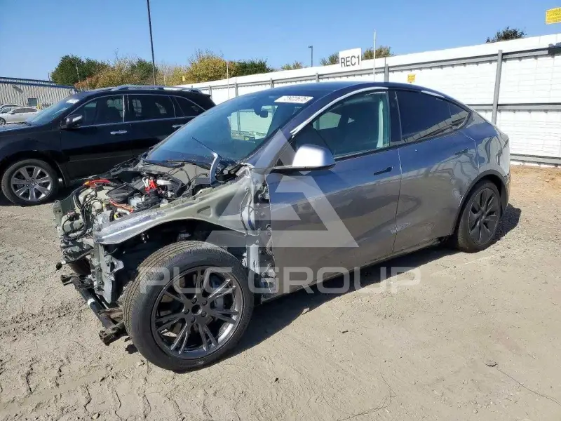 2024 Tesla Model Y photo