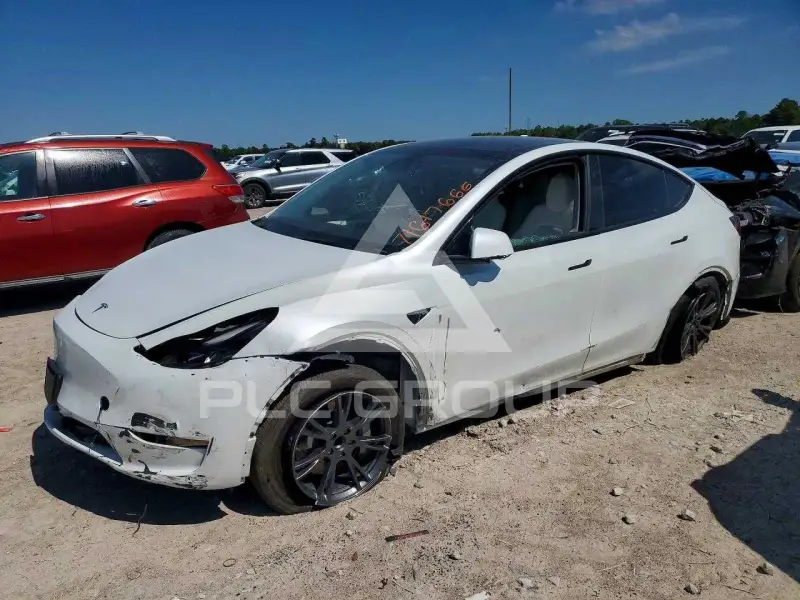 2024 Tesla Model Y photo