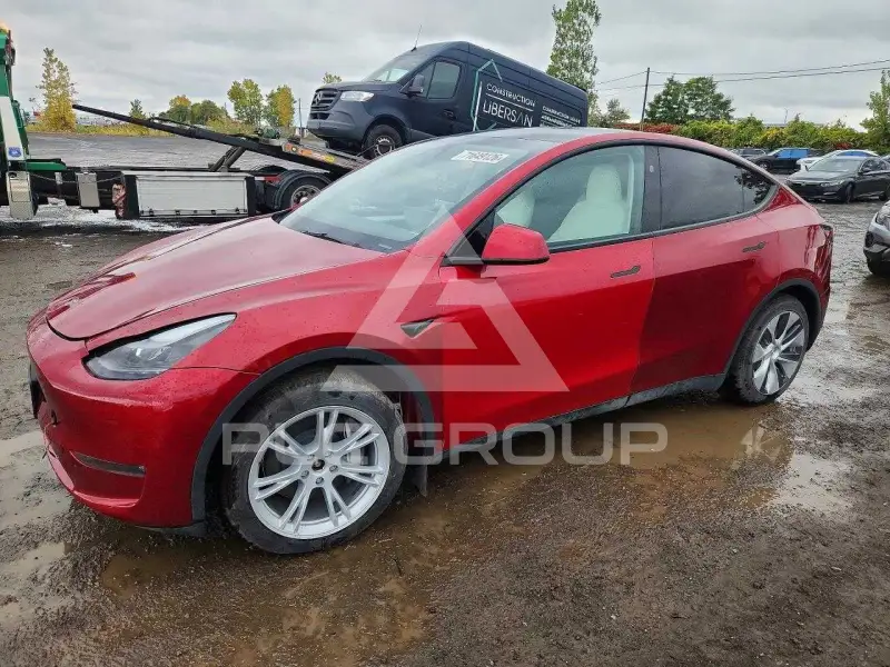 2024 Tesla Model Y photo