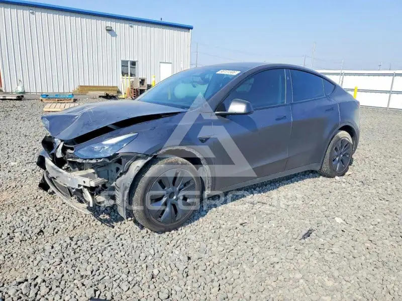 2024 Tesla Model Y фото