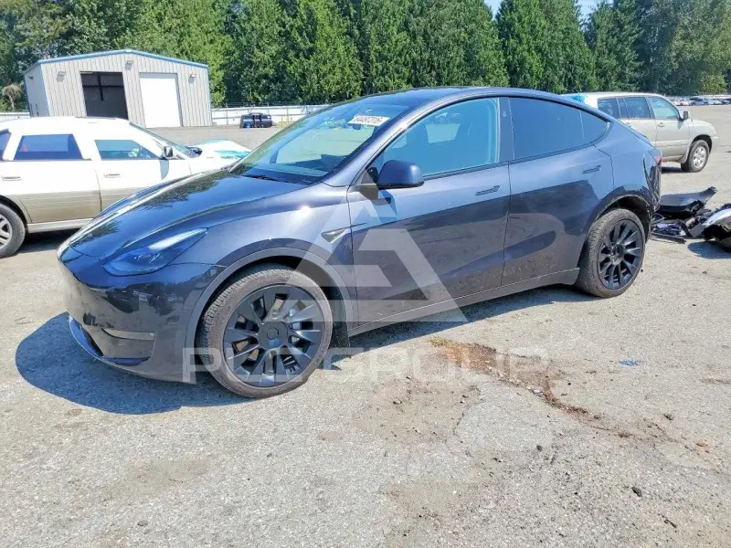 2024 Tesla Model Y photo