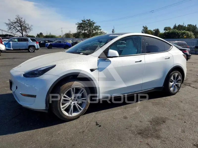 2024 Tesla Model Y photo