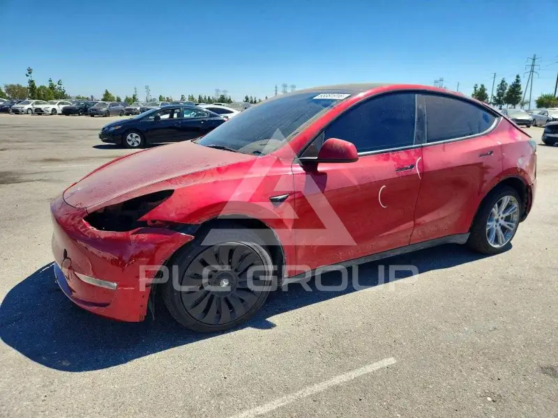 2024 Tesla Model Y photo