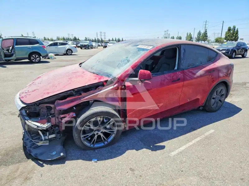 2024 Tesla Model Y фото