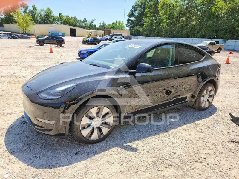 2024 Tesla Model Y photo