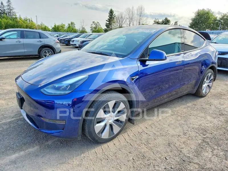 2024 Tesla Model Y фото