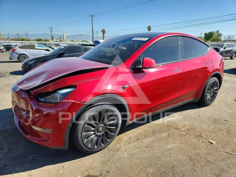 2024 Tesla Model Y photo