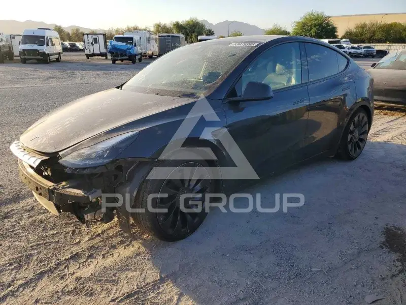 2024 Tesla Model Y photo