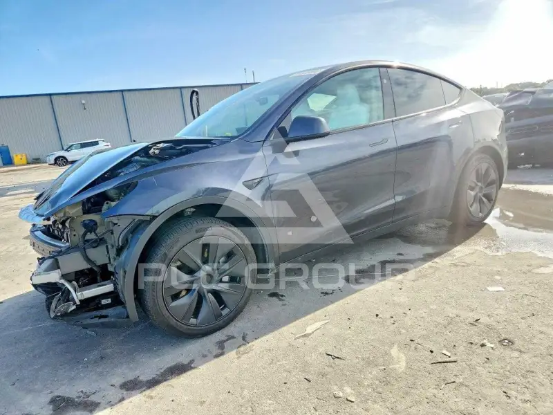 2024 Tesla Model Y photo