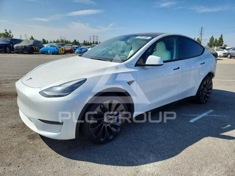 2024 Tesla Model Y фото